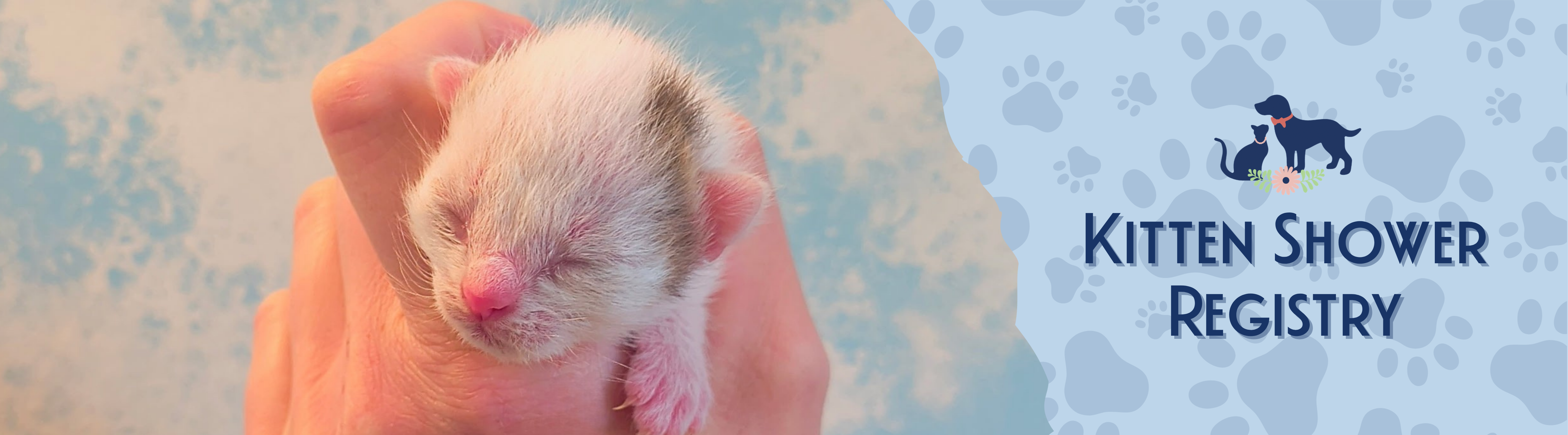 Kitten Season Registry